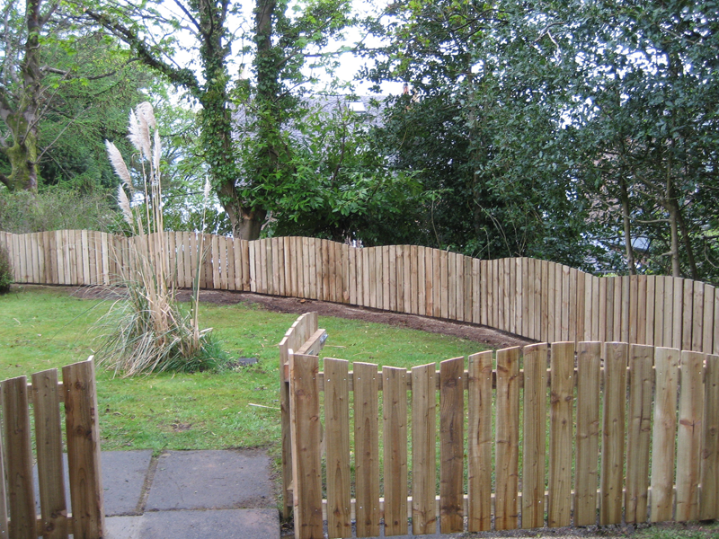Timber fencing